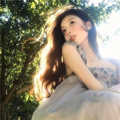 功夫梦